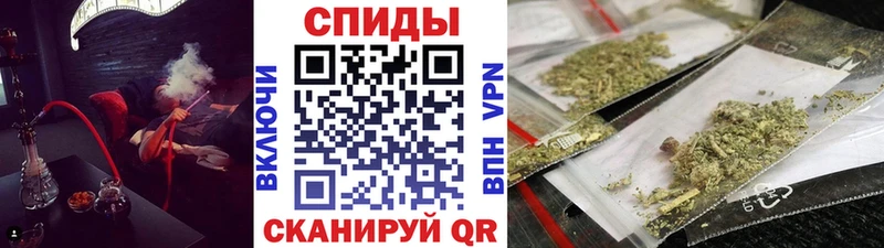 цены Бакал mega tor Бутират 1.4BDO