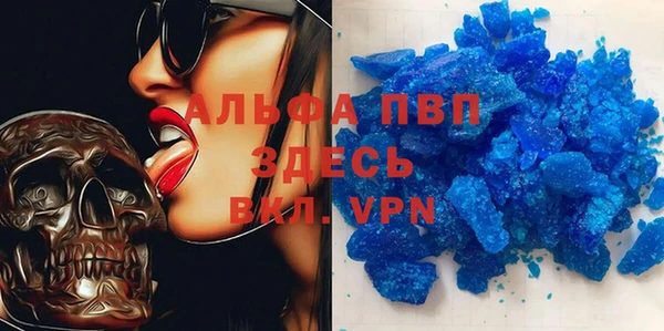 крисы Новокубанск