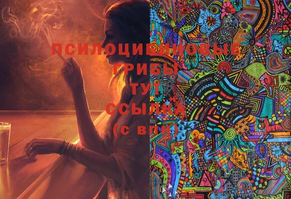 ПСИЛОЦИБИНОВЫЕ ГРИБЫ Армянск