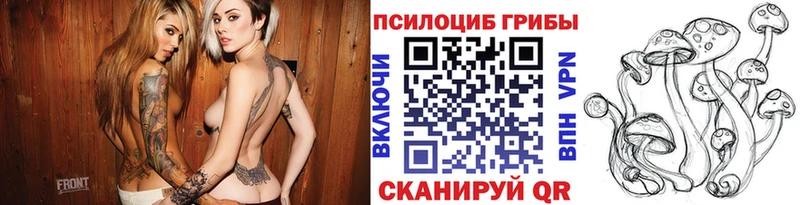 Галлюциногенные грибы GOLDEN TEACHER  hydra ссылка  Бакал 
